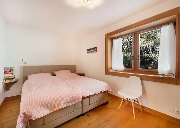 公寓 3 Bdr Terrace 圣莫里茨